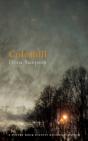 Coleshill - Preview