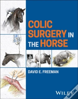 Capa do artigo Colic Surgery In The Horse