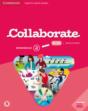 Collaborate Level 2 - Preview