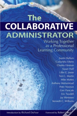 Capa do artigo Collaborative Administrator, The