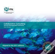 Capa do artigo Collaborative Consulting