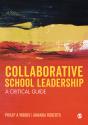 Collaborative School Leadership - Preview