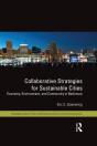 Collaborative Strategies For Sustainable Cities - Preview