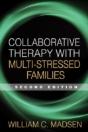 Collaborative Therapy With Multi-Stressed Families, Second Edition - Preview