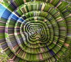 Capa do artigo Collapse - CD