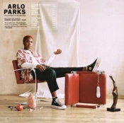 Capa do artigo Collapsed in Sunbeams - CD