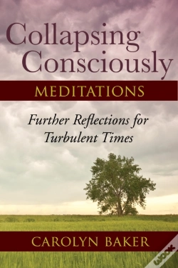 Capa do artigo Collapsing Consciously Meditations