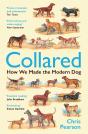 Collared - Preview