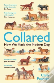 Capa do artigo Collared