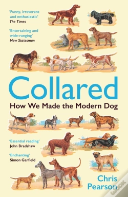 Capa do artigo Collared
