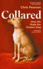 Collared - Preview