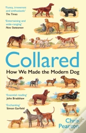 Capa do artigo Collared