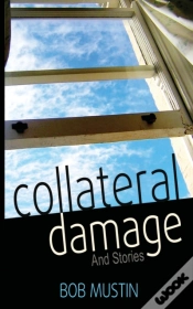 Capa do artigo Collateral Damage And Stories