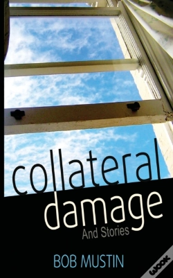 Capa do artigo Collateral Damage And Stories