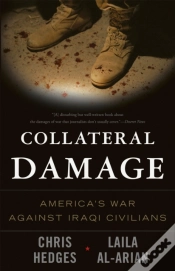 Capa do artigo Collateral Damage