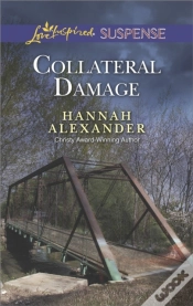 Capa do artigo Collateral Damage