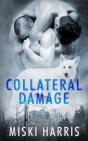 Collateral Damage - Preview