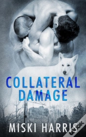 Capa do artigo Collateral Damage