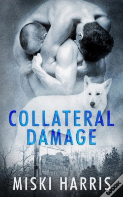 Capa do artigo Collateral Damage