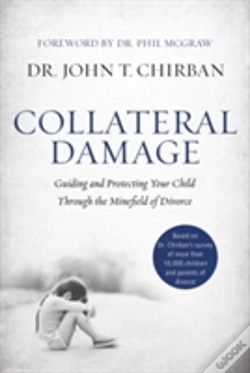 Capa do artigo Collateral Damage