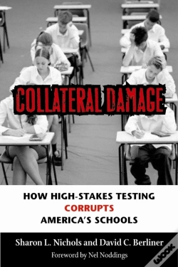 Capa do artigo Collateral Damage