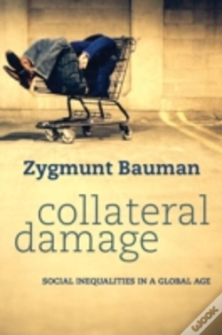 Capa do artigo Collateral Damage