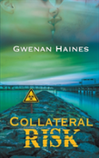 Collateral Risk
