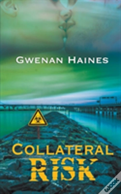 Capa do artigo Collateral Risk