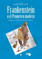 Col·Lecció Dual 011 - Frankenstein O El Prometeu Modern - Preview