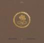 Collected Pieces: 2015-2020 - Vinil - Preview