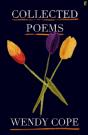 Collected Poems - Preview