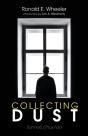 Collecting Dust - Preview