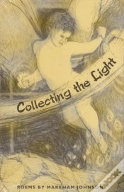 Capa do artigo Collecting The Light