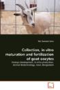 Collection, In Vitro Maturation And Fertilization Of Goat Oocytes - Preview