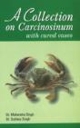 Collection On Carcinosinum - Preview