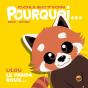 Collection Pourquoi... - Lilou Le Panda Roux - Preview