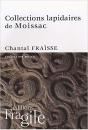 Collections Lapidaires De Moissac - Preview
