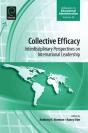 Collective Efficacy - Preview
