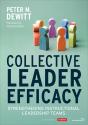 Collective Leader Efficacy - Preview