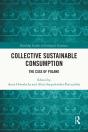 Collective Sustainable Consumption - Preview