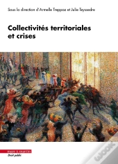 Collectivités Territoriales Et Crises