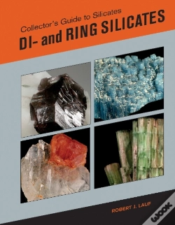 Capa do artigo Collector'S Guide To Silicates