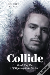 Capa do artigo Collide