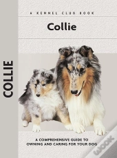 Collie
