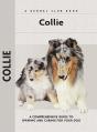 Collie - Preview