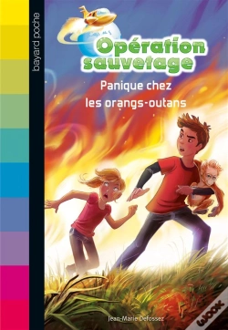 Capa do artigo Colline Des Derniers Orangs Outans N4