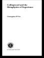 Collingwood And The Metaphysics Of Experience - Preview