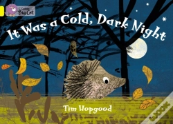 Capa do artigo Collins Big Cat - It Was A Cold Dark Night Workbook