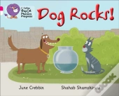 Collins Big Cat Phonics Progress - Top Dog!