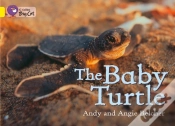 Capa do artigo Collins Big Cat - The Baby Turtle